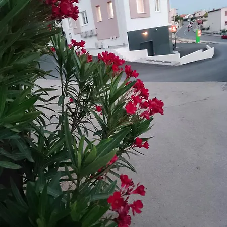 Marin Apartman