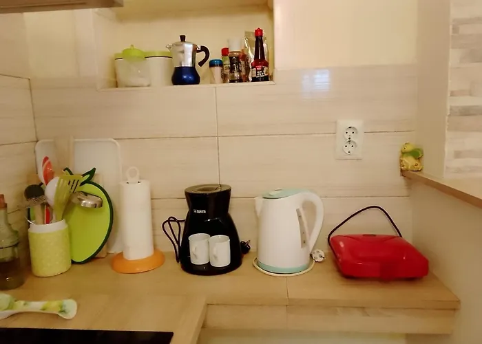 아파트 Marin 시베니크