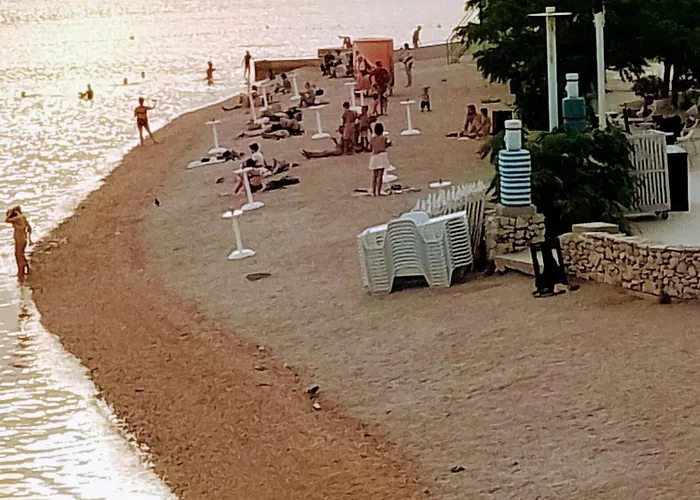 Marin * 시베니크